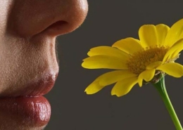 تکامل حس بویایی