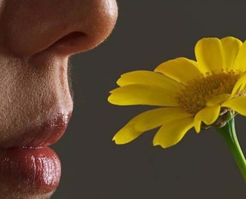 تکامل حس بویایی